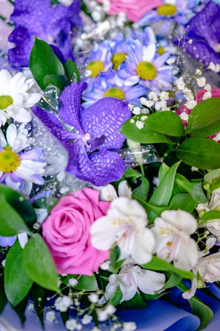A vibrant bouquet of fresh flowers featuring purple and violet orchids with delicate petal patterns, white daisies with bright yellow centers, pink roses with soft, tightly layered petals, and white a